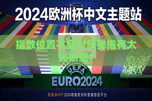 指数位置不宜对反弹抱有太高期望？