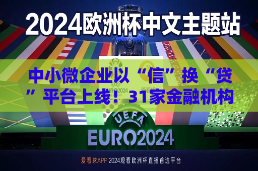 中小微企业以“信”换“贷”平台上线！31家金融机构“尝鲜”  第1张