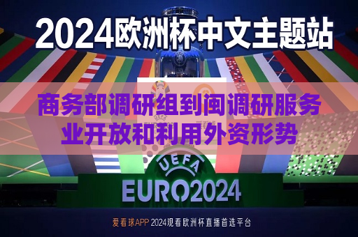 商务部调研组到闽调研服务业开放和利用外资形势  第1张