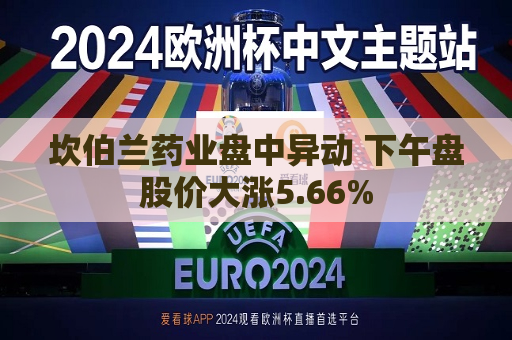 坎伯兰药业盘中异动 下午盘股价大涨5.66%  第1张