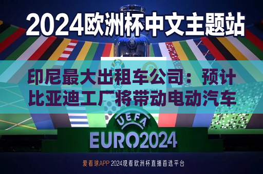 印尼更大出租车公司：预计比亚迪工厂将带动电动汽车价格大幅下降  第1张