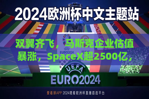 双翼齐飞，马斯克企业估值暴涨，SpaceX超2500亿，xAI达450亿  第1张