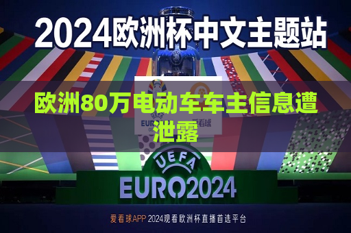 欧洲80万电动车车主信息遭泄露  第1张