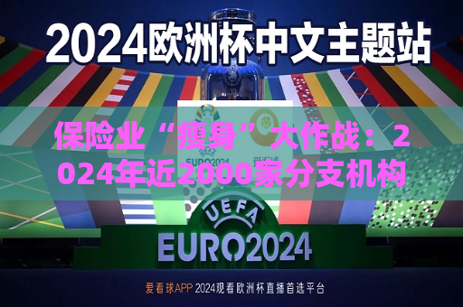 保险业“瘦身”大作战：2024年近2000家分支机构被裁撤  *** 人队伍提质丨2024年中国经济观察  第1张