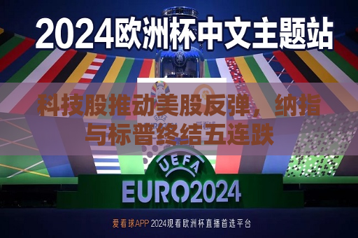科技股推动美股反弹，纳指与标普终结五连跌  第1张