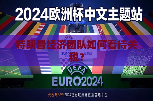 特朗普经济团队如何看待关税？  第1张