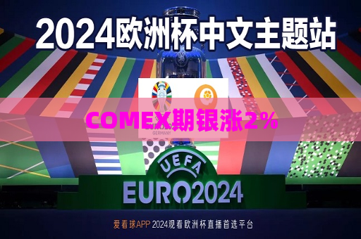 COMEX期银涨2%  第1张