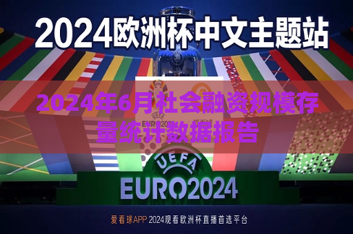 2024年6月社会融资规模存量统计数据报告