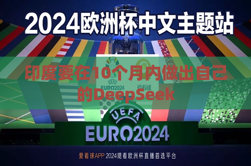 印度要在10个月内做出自己的DeepSeek  第1张