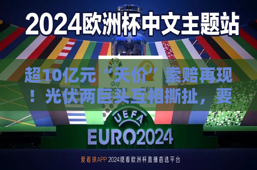 超10亿元“天价”索赔再现！光伏两巨头互相撕扯，要求销毁侵权产品  第1张