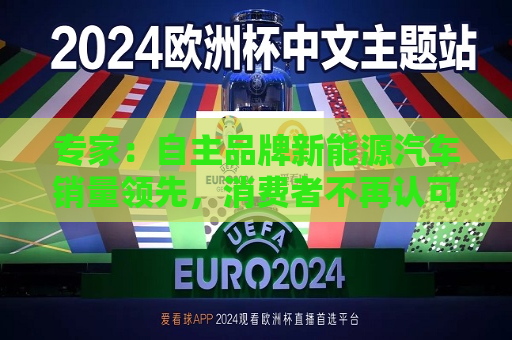 专家：自主品牌新能源汽车销量领先，消费者不再认可外资品牌溢价  第1张