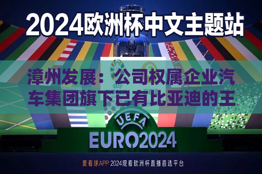 漳州发展：公司权属企业汽车集团旗下已有比亚迪的王朝系列及海洋网系列、AITO问界等新能源车品牌在漳州区域的授权  第1张