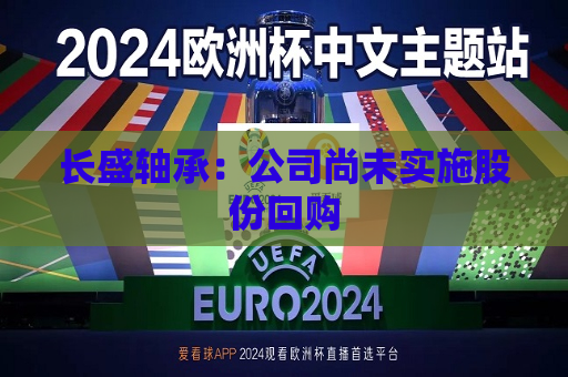 长盛轴承：公司尚未实施股份回购  第1张