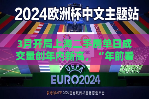 3月开局上海二手房单日成交量创年内新高，“年前看的好多房子都卖掉了”  第1张