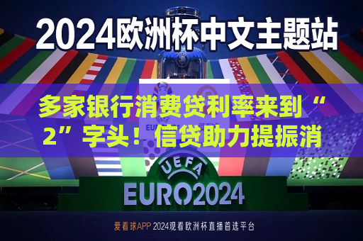 多家银行消费贷利率来到“2”字头！信贷助力提振消费背景下，银行业寻求零售业务破局  第1张
