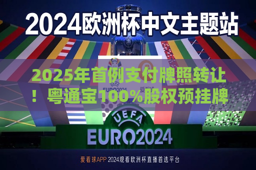 2025年首例支付牌照 *** ！粤通宝100%股权预挂牌 行业洗牌加速  第1张