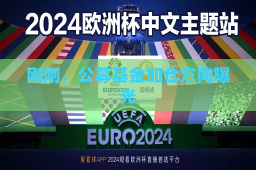 刚刚，公募基金加仓方向曝光