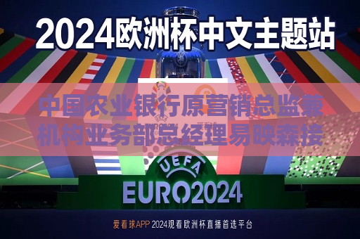 中国农业银行原营销总监兼机构业务部总经理易映森接受审查调查