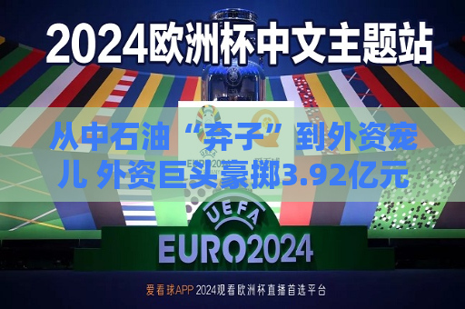 从中石油“弃子”到外资宠儿 外资巨头豪掷3.92亿元“输血”中意财险