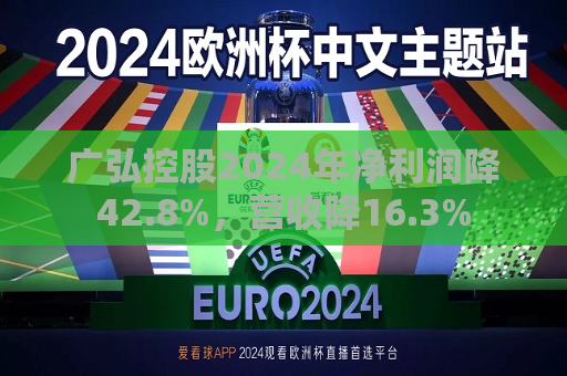 广弘控股2024年净利润降42.8%，营收降16.3%