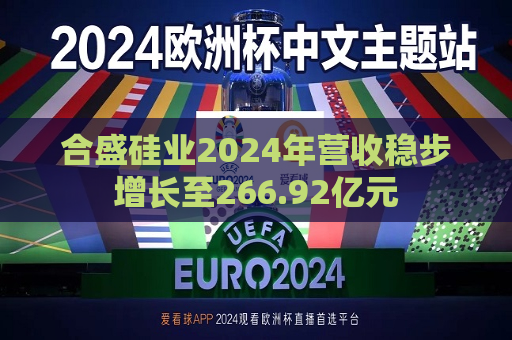 合盛硅业2024年营收稳步增长至266.92亿元