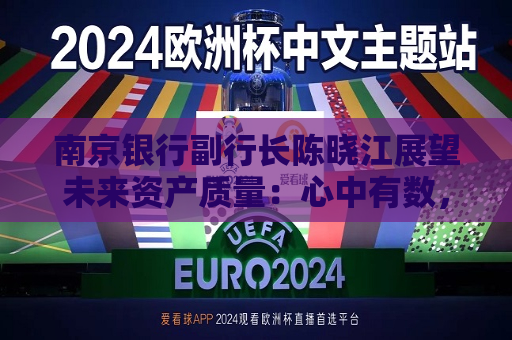 南京银行副行长陈晓江展望未来资产质量：心中有数，手中有量，脚下有力