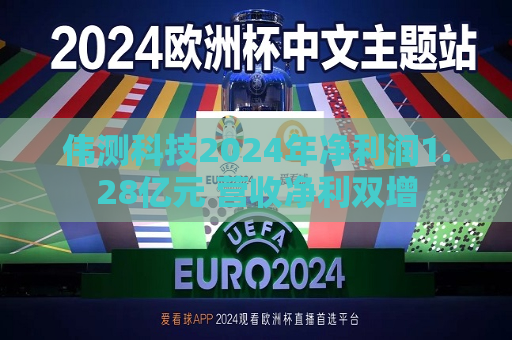 伟测科技2024年净利润1.28亿元 营收净利双增