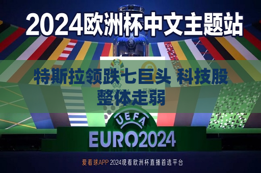 特斯拉领跌七巨头 科技股整体走弱