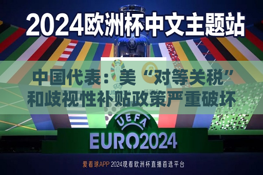 中国代表：美“对等关税”和歧视性补贴政策严重破坏世贸规则