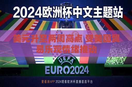 美元升至两周高点 受美国贸易乐观情绪推动