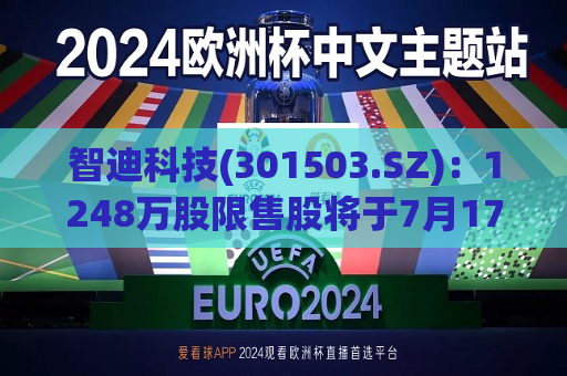 智迪科技(301503.SZ)：1248万股限售股将于7月17日起上市流通  第1张