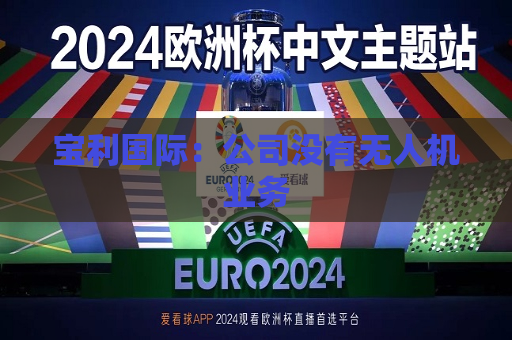 宝利国际：公司没有无人机业务  第1张
