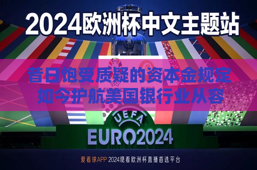昔日饱受质疑的资本金规定 如今护航美国银行业从容应对动荡