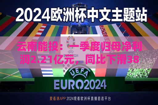 云南能投：一季度归母净利润2.21亿元，同比下滑38.03%