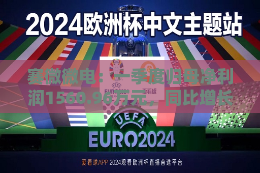 赛微微电：一季度归母净利润1560.96万元，同比增长110.43%