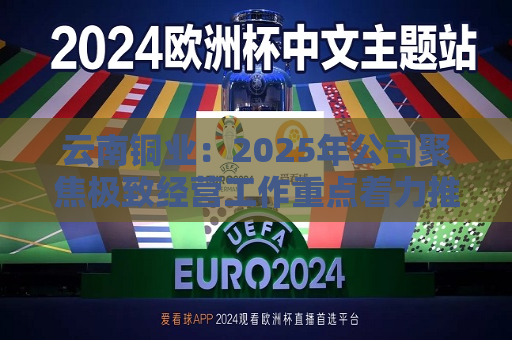 云南铜业：2025年公司聚焦极致经营工作重点着力推动公司高质量发展推进铁血降本