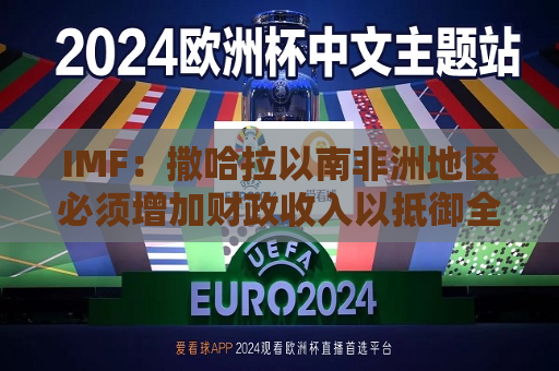 IMF：撒哈拉以南非洲地区必须增加财政收入以抵御全球动荡  第1张