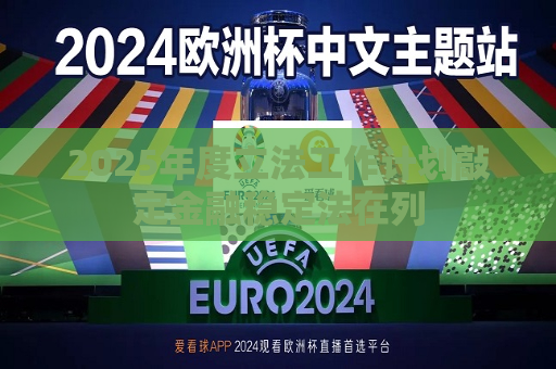 2025年度立法工作计划敲定金融稳定法在列