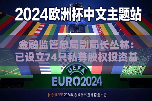 金融监管总局副局长丛林：已设立74只私募股权投资基金，支持投资科技创新企业