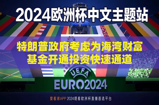 特朗普 *** 考虑为海湾财富基金开通投资快速通道  第1张