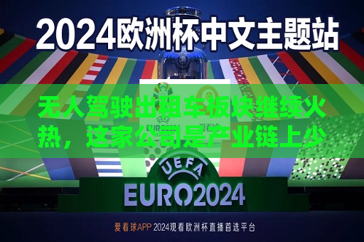 无人驾驶出租车板块继续火热，这家公司是产业链上少数能确定盈利的企业  第1张