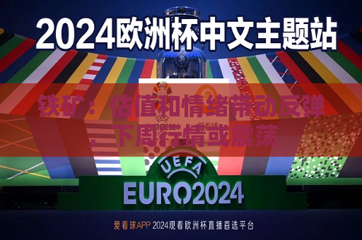 铁矿：估值和情绪带动反弹，下周行情或震荡