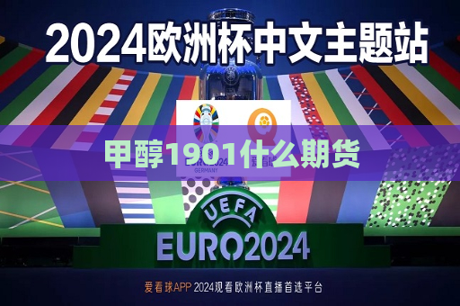 甲醇1901什么期货  第1张