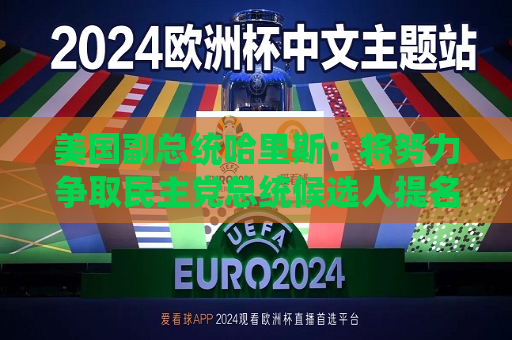 美国副总统哈里斯：将努力争取民主党总统候选人提名  第1张