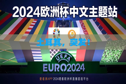 土耳其，突发！  第1张