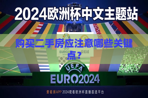 购买二手房应注意哪些关键点？