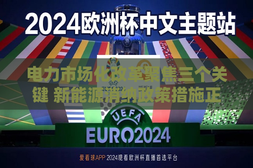 电力市场化改革聚焦三个关键 新能源消纳政策措施正在完善  第1张
