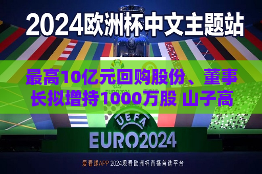 更高10亿元回购股份、董事长拟增持1000万股 山子高科打响面值退市“保卫战”  第1张