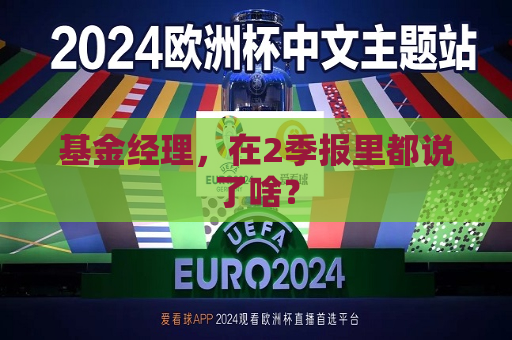 基金经理，在2季报里都说了啥？  第1张