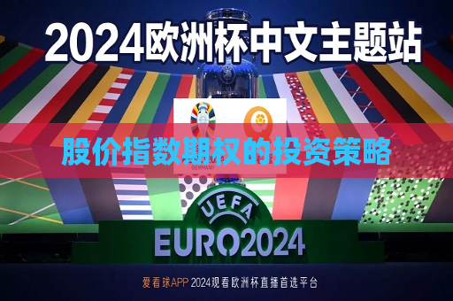 股价指数期权的投资策略  第1张